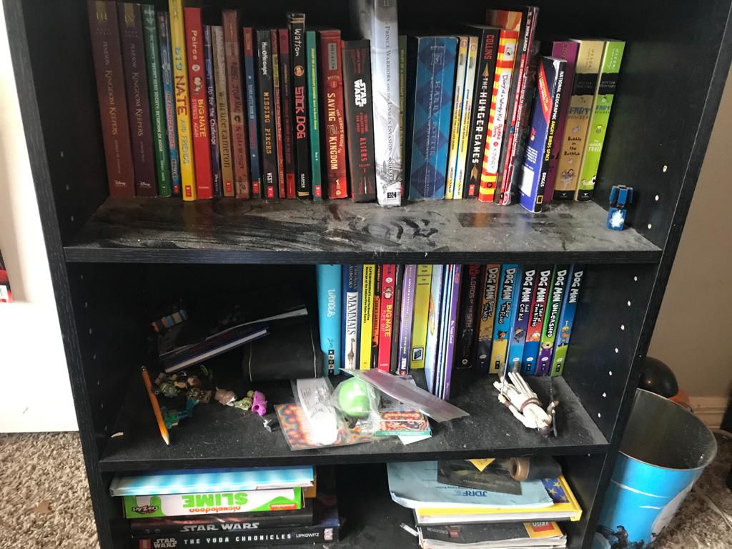 Bookshelf Before Cleaning