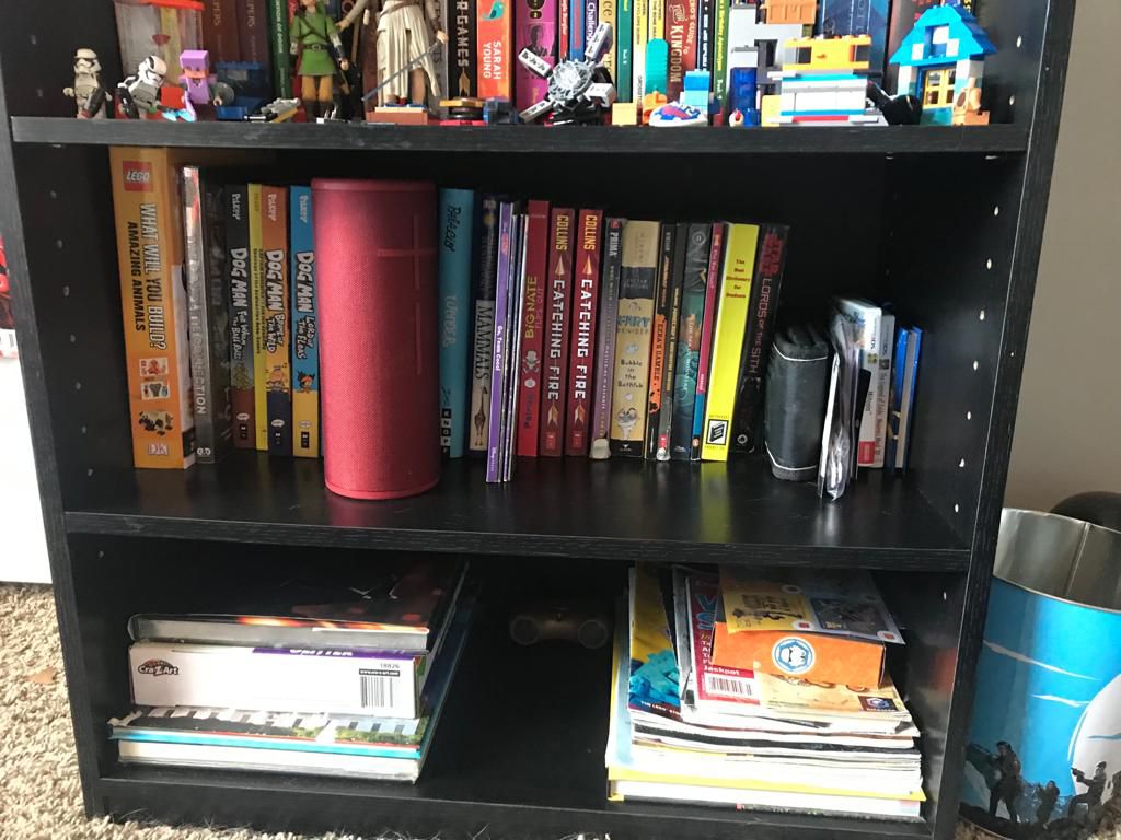 Bookshelf After Cleaning